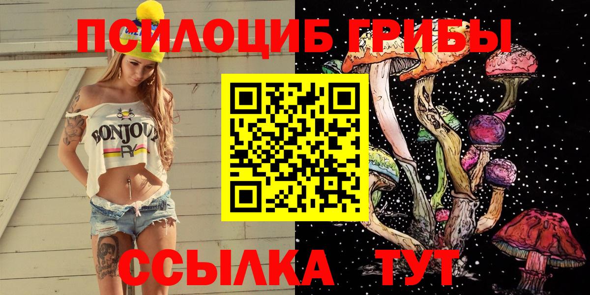 Галлюциногенные грибы прущие грибы Гуково