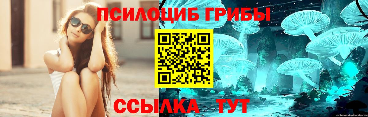 Гуково  Галлюциногенные грибы Psilocybe  Вход с VPN 